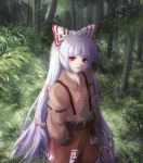  bamboo bamboo_forest bangs forest from_above fujiwara_no_mokou hair_ribbon hands_in_pockets kurosukey long_hair looking_up nature red_eyes ribbon silver_hair solo suspenders touhou 