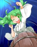  bucket girl_in_bucket green_eyes green_hair hair_bobbles hair_ornament in_bucket in_container kanoe_soushi kisume opem_mouth open_mouth smile solo touhou twintails wink 