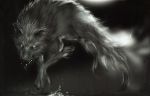  dark_souls great_grey_wolf_sif highres monochrome water wolf 
