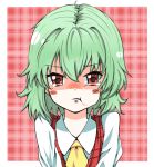  :t ascot blush_stickers bust face green_hair kazami_yuuka ketappu looking_at_viewer plaid plaid_background plaid_vest pout red_eyes solo tears touhou youkai 