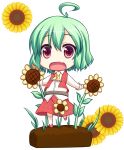  ahoge ascot belt chibi fang flower green_hair kazami_yuuka open_mouth outstretched_arms pilky plaid plaid_skirt plaid_vest red_eyes shirt short_hair skirt skirt_set solo sunflower touhou unmoving_pattern vest youkai 