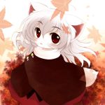  :3 animal_ears autumn blush cape dog_ears fang fangs grey_hair highres inubashiri_momiji leaf open_mouth red_eyes smile solo tail touhou wolf_ears wolf_tail yume_shokunin 