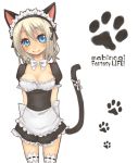  arms_behind_back blonde_hair blue_eyes blush bow bowtie breasts cat_ears cat_tail cleavage highres looking_at_viewer mabinogi maid maid_headdress miyamae_porin paw_print smile solo tail thigh-highs thighhighs white_legwear 
