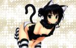 alpha animal_ears catgirl panties tail thigh-highs thighhighs torn_clothes underwear 