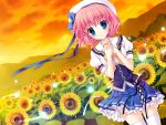  blue_eyes clouds flower flowers game_cg hat himezono_risa landscape mitha pink_hair scenic seifuku short_hair sky sunflower sunset yuyukana 