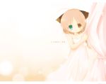  blush cat_ears catgirl emurin heterochromia loli nekomimi original short_hair skirt wallpaper 