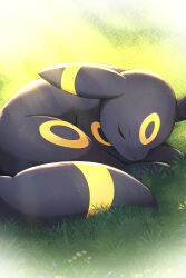  closed_eyes commentary_request day grass highres light_rays lying no_humans outdoors pokemon pokemon_(creature) pokemon_focus rumine_(yoshi1234567) sleeping solo umbreon 