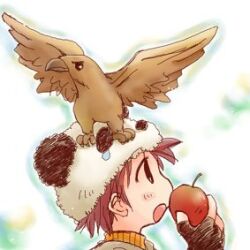  1boy animal_on_head apple bird bird_on_head black_gloves commentary_request fingerless_gloves food fruit gloves hawk holding holding_food holding_fruit hunter_(ragnarok_online) lowres male_focus on_head open_mouth panda_hat profile ragnarok_online red_hair solo todoemon white_background 