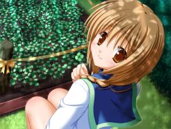  1girl blue_sailor_collar braid brown_eyes brown_hair closed_mouth clover clover_point day field from_above from_behind game_asset grass hinata_miori holding holding_clover jacket light_smile long_hair looking_at_viewer looking_back non-web_source official_art outdoors sailor_collar school_uniform squatting striped_clothes twin_braids white_jacket yuyi 
