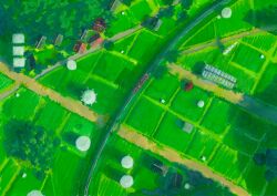  artist_request day from_above green_theme highres house loca! no_humans official_art railroad_tracks rice_paddy scenery train tree 