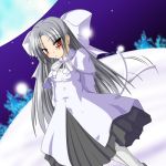  blush cat_tail long_hair melty_blood red_eyes silver_hair snow tail white_len 
