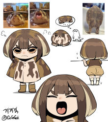  1girl 1other angry animal_request brown_coat brown_hair brown_shirt brown_shorts closed_eyes closed_mouth coat flying_sweatdrops frog_girl frown gegegekman highres horizontal_pupils humanization long_hair long_sleeves open_mouth original photo-referenced shirt short_sleeves shorts slit_pupils standing thick_eyebrows tiptoes tongue white_shirt 