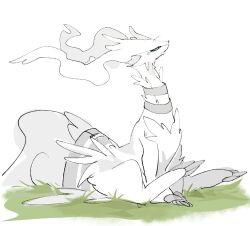  claws full_body grass looking_to_the_side no_humans pokemon pokemon_(creature) pokemon_focus pokey_pokeyhip reshiram simple_background sitting white_background 