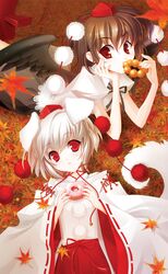  dog_ears dog_tail doughnut hat inubashiri_momiji s-yin shameimaru_aya tail touhou wolf_ears 