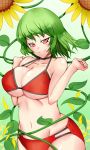  &gt;:) arms_up bangs bikini blush body_blush breast_squeeze breasts choker cleavage collarbone erect_nipples floral_background flower ginko_(nico) green_hair head_tilt hips kazami_yuuka large_breasts looking_at_viewer midriff navel red_eyes shiny shiny_skin solo sunflower swimsuit touhou wide_hips youkai 