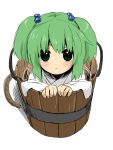  blush bucket chagen_kokimu child dress face girl_in_bucket green_eyes green_hair hair_bobbles hair_ornament in_bucket in_container kisume sdmaiden solo touhou twintails white_dress 