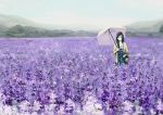  basket braid brown_eyes brown_hair dress flower flower_field flowers lavender_(flower) nature original saya_(mychristian2) saya_(weepin&#039;_rain) scenery single_braid smile umbrella 