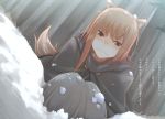  animal_ears crying dress holo orange_hair snow spice_and_wolf tail 