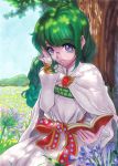  braid brooch cape dress flower glasses green_hair highres jewelry long_hair nature outdoors philia_felice purple_eyes saraoku-san shade sky smile solo tales_of_(series) tales_of_destiny traditional_media violet_eyes 
