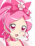  cure_blossom hanasaki_tsubomi heartcatch_precure! magical_girl owarine_miku pink_eyes pink_hair precure solo 