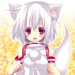  animal_ears autumn_leaves blush bust detached_sleeves highres hikanyan inubashiri_momiji no_hat no_headwear open_mouth red_eyes shirt short_hair silver_hair solo tail touhou wolf_ears wolf_tail 