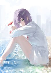  1girl absurdres beach blood blood_on_clothes blurry blurry_background chainsaw_man closed_mouth clouds cloudy_sky collarbone collared_shirt commentary_request eyelashes feet feet_out_of_frame fingernails flower green_eyes grenade_pin hair_between_eyes highres holding holding_flower looking_at_viewer medium_hair naked_shirt no_pants ocean outdoors purple_hair red_flower reze_(chainsaw_man) rissenka sand shallow_water shirt short_hair sitting sky solo torn_clothes torn_shirt torn_sleeves water white_shirt 