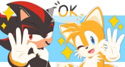  2boys animal_ears black_fur closed_mouth commentary english_text fox_boy fox_ears fox_tail furry furry_male hedgehog_boy highres looking_at_viewer male_focus multiple_boys ok_sign one_eye_closed open_mouth shadow_the_hedgehog smile sonic_(series) sparkle tail tails_(sonic) xia96557 yellow_fur 