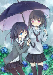  2girls :o ;o amakaze_sora black_hair black_skirt black_thighhighs black_umbrella blue_eyes blue_flower blue_ribbon blue_sky blush brown_hair brown_pantyhose clouds commentary_request day flower grey_jacket hair_ribbon highres holding holding_umbrella hydrangea jacket long_hair long_sleeves multiple_girls nose_blush one_eye_closed one_side_up original outdoors pantyhose parted_lips pink_eyes pleated_skirt puffy_long_sleeves puffy_sleeves rain ribbon sailor_collar school_uniform serafuku shared_umbrella shirt skirt sky thigh-highs umbrella white_sailor_collar white_shirt 