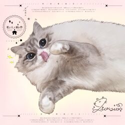  animal animal_focus blue_eyes cat commission highres mihuashi_commission naiyou_dangao_naiyou no_humans original pink_background sample_watermark signature solo sparkle tongue tongue_out watermark 