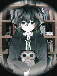  1boy bags_under_eyes black_hair black_jacket blurry blurry_background bookshelf camera_flash closed_mouth collared_shirt commentary degrees_of_lewdity dot_nose fisheye furrowed_brow green_eyes green_necktie hair_between_eyes highres holding holding_toy hood hood_down hooded_jacket horizontal_spotlight jacket kylar_(degrees_of_lewdity) kylar_(male)_(degrees_of_lewdity) long_sleeves looking_at_viewer lower_eyelashes_only male_focus necktie nervous_smile open_clothes open_jacket pale_skin photo_background sanpaku shirt short_hair sleeves_past_wrists smile solo straight-on stuffed_toy sweatdrop toy upper_body user_skpm4354 wavy_hair wavy_mouth white_shirt 