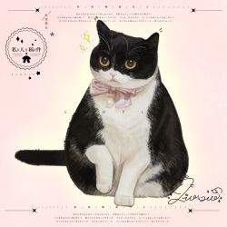  animal animal_focus bow bowtie cat commission highres mihuashi_commission naiyou_dangao_naiyou no_humans original pink_background pink_bow pink_bowtie sample_watermark signature solo sparkle watermark yellow_eyes 