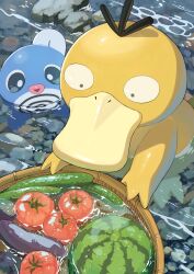  amakara000 basket cucumber eggplant food fruit highres no_humans outdoors pokemon pokemon_(creature) pokemon_focus poliwag psyduck tail tomato water watermelon 