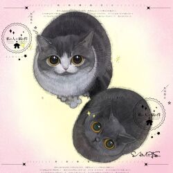  absurdres animal animal_focus black_cat cat commission from_above highres looking_at_viewer mihuashi_commission naiyou_dangao_naiyou no_humans original pink_background sample_watermark signature sparkle watermark yellow_eyes 