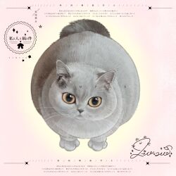  animal animal_focus brown_eyes cat commission grey_cat highres looking_at_viewer mihuashi_commission naiyou_dangao_naiyou no_humans original pink_background sample_watermark signature solo watermark whiskers 