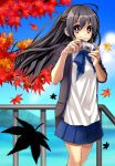  autumn_leaves black_hair brown_eyes camera cloud leaf long_hair maple_leaf mountain original skirt sky sleeves_pushed_up solo water yui_tooru 