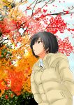  1girl amagami autumn black_eyes black_hair bob_cut coat leaf looking_up murasaki_iro nanasaki_ai short_hair solo tree 