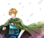  1boy archer_(fate/extra) brown_eyes brown_hair cloak fate/extra fate/stay_night fate_(series) fingerless_gloves gloves hair_over_one_eye hood kazuki_shino male petals robin_hood solo 