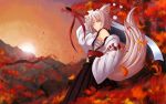  inubashiri_momiji miirkat sword tail touhou weapon white_hair wolf_ears wolf_tail 