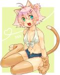  ahoge antenna_hair aqua_eyes bare_shoulders blue_eyes bow bow_panties breasts cat_ears cat_tail catgirl cleavage fang front-tie_top gloves green_eyes hair_ornament hairclip heterochromia navel open_fly open_mouth original panties pink_hair ponytail short_hair short_shorts shorts siori sitting solo tail thigh-highs thighhighs underwear unzipped 