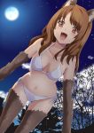  bikini blue_door breasts brown_eyes brown_hair cleavage fangs long_hair moon navel open_mouth original side-tie_bikini smile swimsuit tail thigh-highs thighhighs wolf_ears wolf_tail 