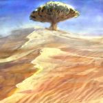  highres no_humans original read_xxx sand sky tree 