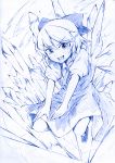  blue_background blue_eyes blue_hair cirno ice monochrome sketch touhou vent_arbre wings 