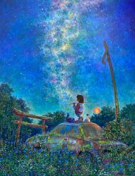  1girl abandoned acrylic_paint_(medium) animal blue_flower brown_hair car cat fishing_rod flower hand_in_pocket highres holding holding_fishing_rod milky_way moss motor_vehicle nature night original outdoors overgrown painting_(medium) plant power_lines scenery shiraishi_takashi sky star_(sky) starry_sky striped_leggings torii traditional_media utility_pole vines wide_shot 
