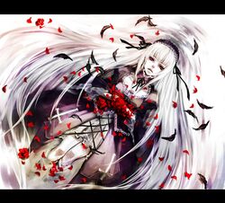  dress feathers flower frills hairband hamutama long_hair petals red_eyes rose rozen_maiden suigintou very_long_hair white_hair 