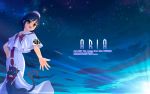  aria black_cat black_cat_(animal) blue blue_hair cat genshi-t hand_on_hip hime_granzchesta hips night night_sky outstretched_hand short_sleeves sky star_(sky) starry_sky sunlight title_drop uniform 