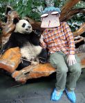  blood comic feeding giant_panda hat keuma nosebleed original panda photo photo_background shirt sitting skirt solo sweat 