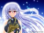  blush book breasts chain chains cross fingerless_gloves gloves jewelry large_breasts long_hair lyrical_nanoha mahou_shoujo_lyrical_nanoha mahou_shoujo_lyrical_nanoha_a&#039;s mahou_shoujo_lyrical_nanoha_a's necklace red_eyes reinforce schwertkreuz silver_hair smile tome_of_the_night_sky wakabayashi_makoto wallpaper 