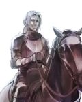  arashi_(chocmint) armor bad_id barding caster_(fate/zero) fate/stay_night fate/zero fate_(series) horse knight male ponytail solo 
