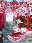  bare_shoulders bow branch brown_eyes brown_hair cherry_blossoms d2c detached_sleeves frilled_skirt frills gathers gohei hair_bow hair_tubes hakurei_reimu japanese_clothes long_skirt looking_back miko multiple_torii petals petticoat skirt slip_skirt smile solo stairs torii touhou wading water 