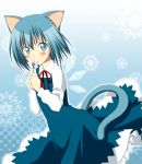  animal_ears blue_background blue_eyes blue_hair cat_ears cat_tail cirno flower gradient gradient_background kemonomimi_mode looking_back oniku-chan short_hair smelling_flower solo tail touhou wings 